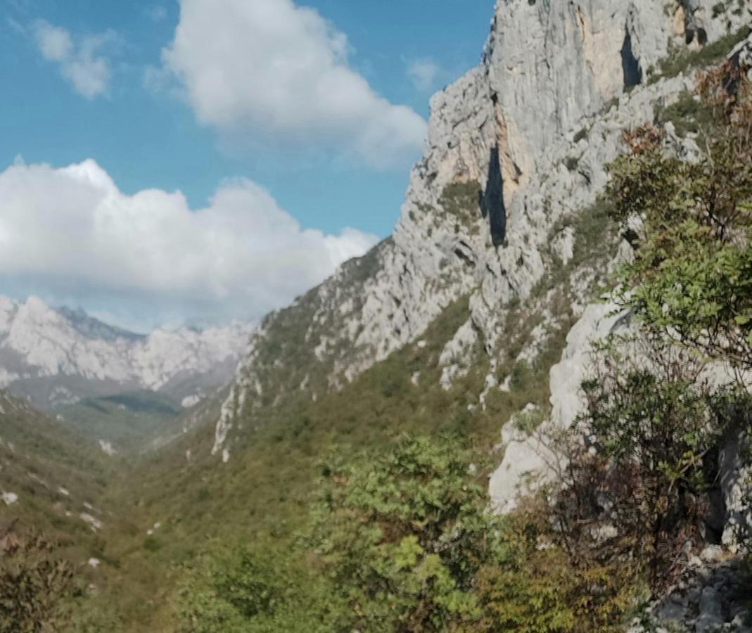 Villa Baric Nin Dış mekan fotoğraf